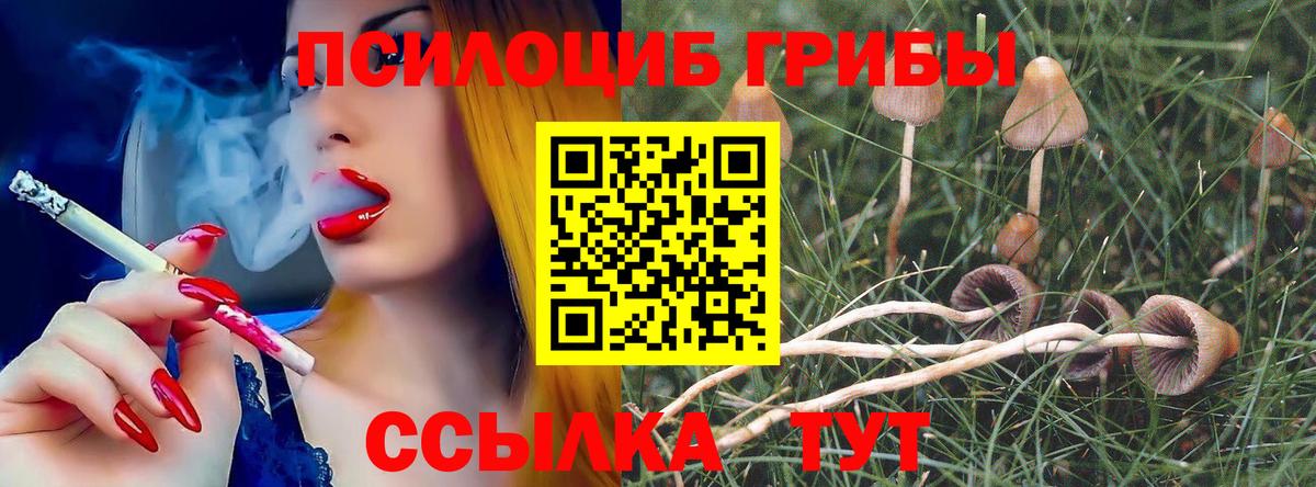 Галлюциногенные грибы MAGIC MUSHROOMS  Вход с VPN  Белебей  что такое   Галлюциногенные грибы ЛСД 